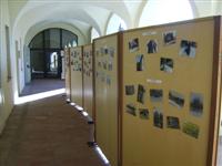 INGRANDISCI